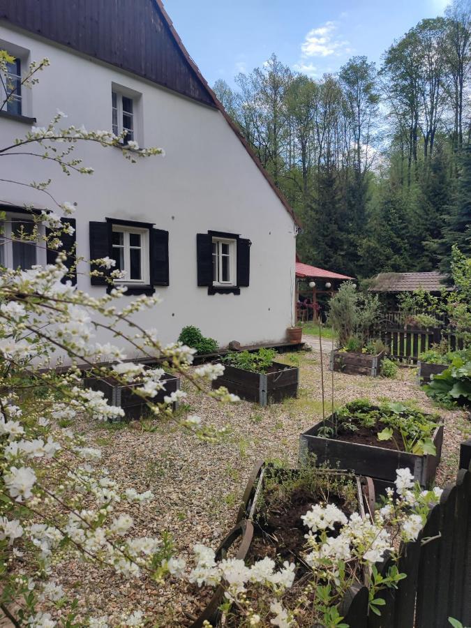 Lusatia Farm Löschney Exterior foto