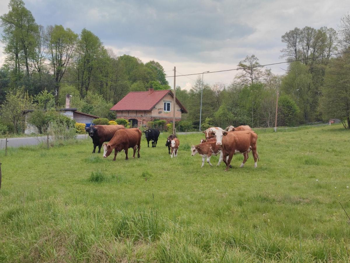 Lusatia Farm Löschney Exterior foto